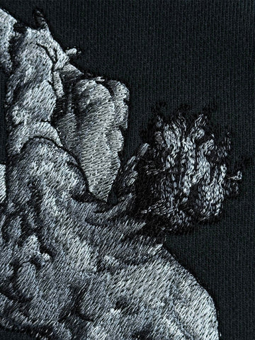 THE FALL OF PHAETON HOODIE